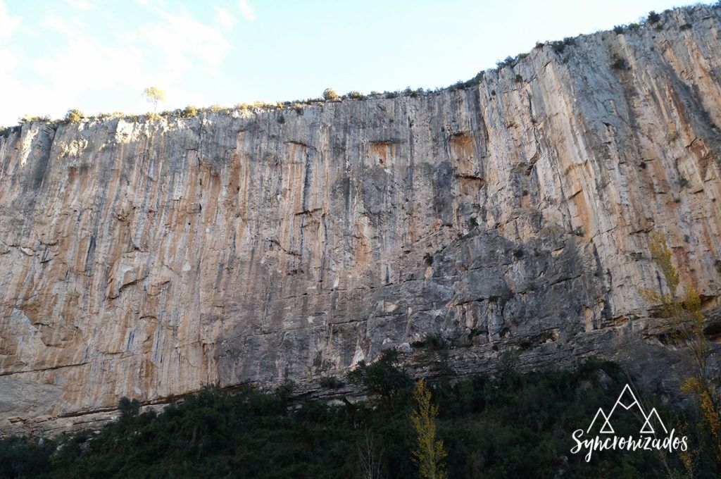 Escaladores