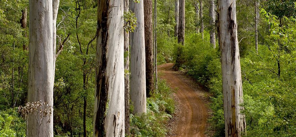 Australia